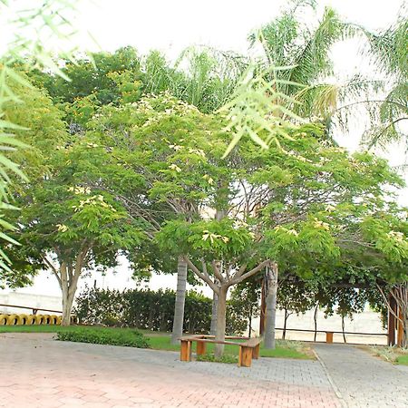 Hotel Flor Da Chapada Itaberaba Ngoại thất bức ảnh